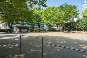 Fototapeta premium 東京都西東京市柳沢、しじゅうから公園