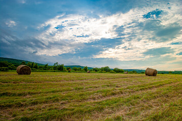 hay bales in the field