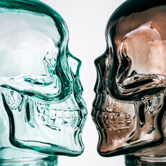 Glass skull in two colors on a gray background