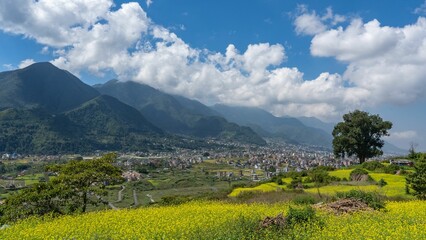 Scenic view of a green landscape with a town on a slope of Himalaya Foothills