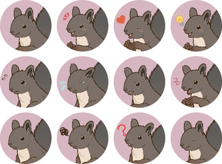 ニホンリスの表情アイコンセット