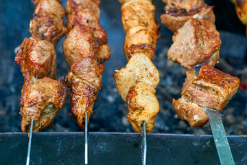 Appetizing tasty fried pieces of meat cooked on the grill