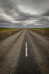 Vertical shot of a road stretching through a rolling landscape of grassy fields beneath a cloudy sky