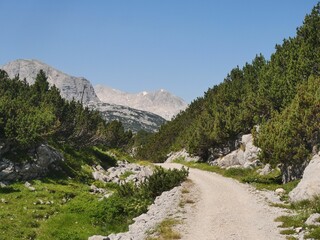Trail in Karst plateau in the Dachstein group near lake Hallstatt in Salzkammergut, Austria