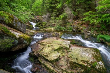 Tranquil mountain stream cutting through the lush green Ilse valley in Germany.