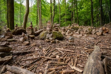 Rocks piled together in the middle of the woods along a trail.