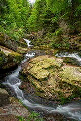 Obraz premium Tranquil mountain stream cutting through the lush green Ilse valley in Germany.