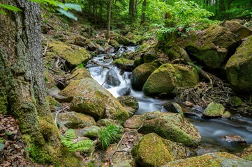 Naklejka na ściany i meble Tranquil mountain stream cutting through the lush green Ilse valley in Germany.