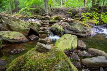 Naklejka na ściany i meble Tranquil scene of rocks in a stream surrounded by lush green foliage in a forest setting.