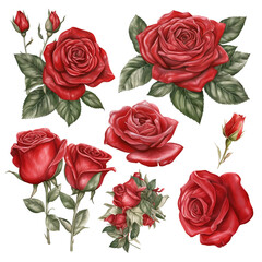 Delicate Red Roses Watercolor, Sublimation Clipart, Floral Designs, Wedding Invitations, Generative AI