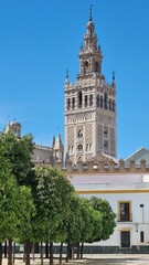 Fototapeta na wymiar Giralda, the bell tower of Seville Cathedral in Seville, Spain.