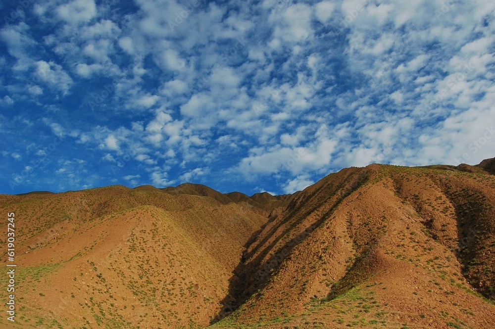 Poster scenic vista of a mountain range with sparse grass and trees in the foreground