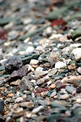Vertical closeup of a rocky landscape featuring small stones scattered throughout