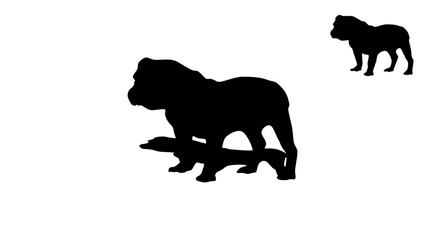 English Bulldog silhouette