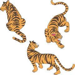 Set of adult big tiger wildlife and cartoon animal design flat vector illustration isolated on white background