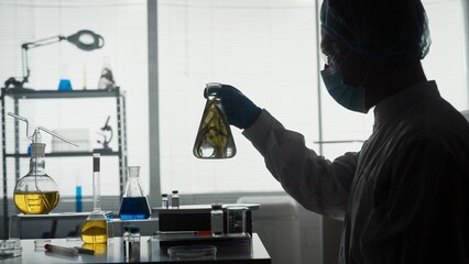 A male scientist holds an Erlenmeyer flask with a plant inside and examines it. Dark silhouette of a scientist with a flask in his hands in the laboratory close up. Scientific experiment.