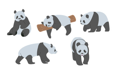Panda 2 cute on a white background, vector illustration