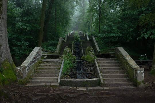 Historische Steintreppe im Bucaco Nationalpark, Portugal