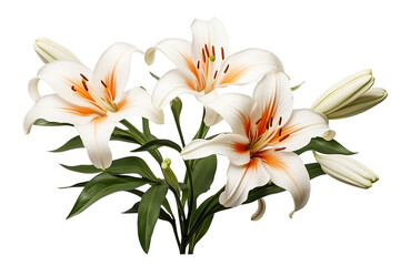 Fototapeta na wymiar Clipart bouquet of lily, Generative AI