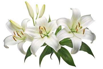 Fototapeta na wymiar Clipart bouquet of white lilies, Generative AI