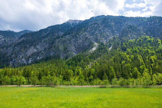 green vally and forest in the mountains