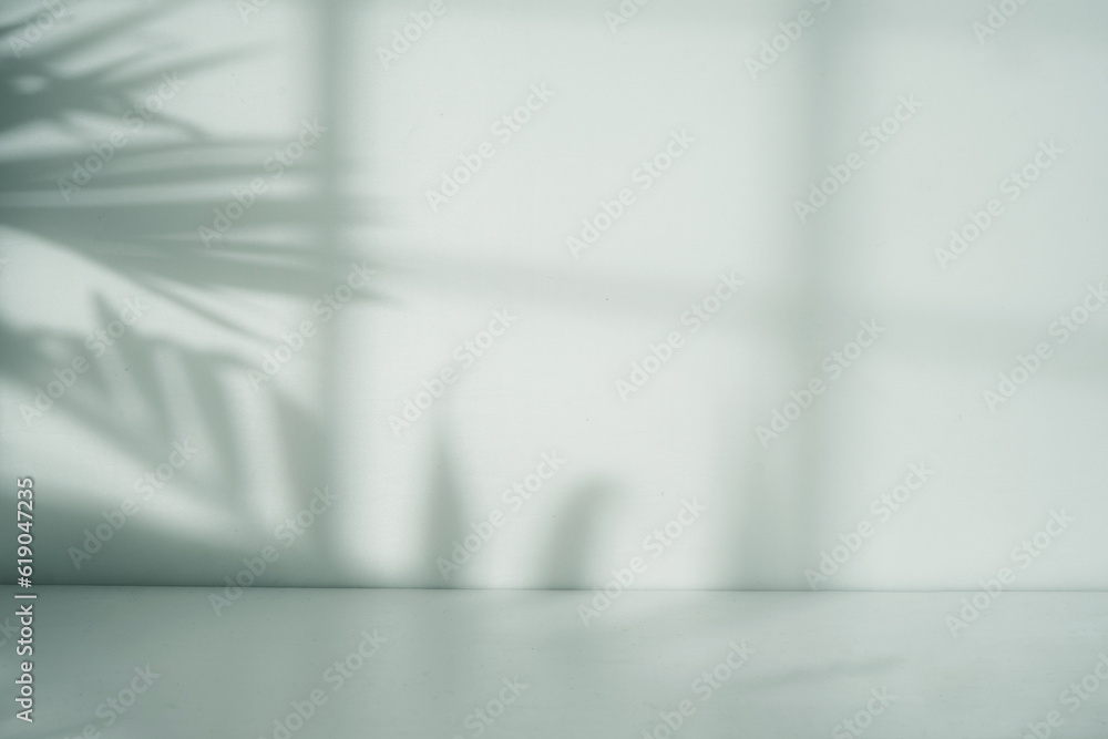 Poster Empty room with leaf and window shadow for display