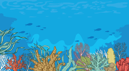 Fototapeta na wymiar Marine Sea Life background. Ocean and underwater world with different inhabitants. Hand drawn sketch elements. Best for print, user interface, card, poster. Vector illustration.