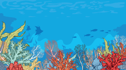 Fototapeta na wymiar Marine Sea Life background. Ocean and underwater world with different inhabitants. Hand drawn sketch elements. Best for print, user interface, card, poster. Vector illustration.