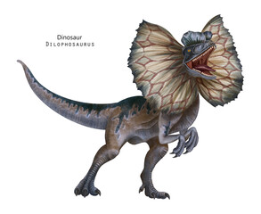 Dilophosaurus with frill illustration. Dinosaur with crest on head. Brown, blue, grey dino.  Roar dino
