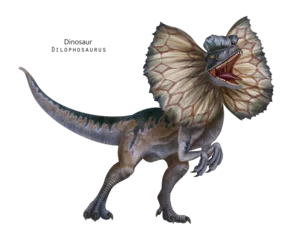 Fotobehang Dinosaurussen Dilophosaurus with frill illustration. Dinosaur with crest on head. Brown, blue, grey dino.  Roar dino  © inna72