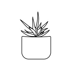succulent line art cactus illustration