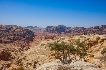 Landscape of the dry land in Jordan