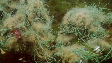 Lost fishing net lies on seabed in green algae Ulva on bright sunny day in sun glare in Black sea, Ghost gear pollution of Seas and Ocean, Black Sea, Odessa, Ukraine