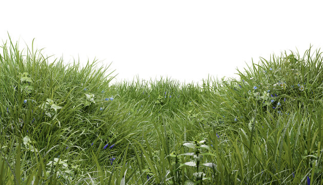 Hills with grass with dandelions on a transparent background. 3D rendering.