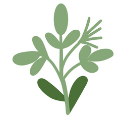 plant isolated on white