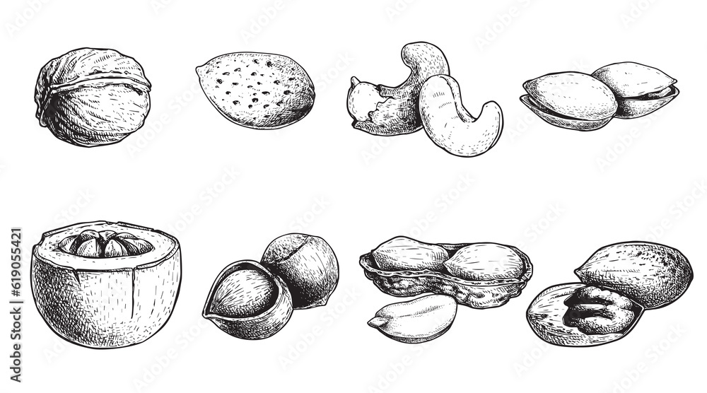 Wall mural Different nuts set. Sketch style hand drawn nuts with nutshells. Walnut, pistachio, cashew, almond, peanut, hazelnut, Brazil nut and pecan. Vector illustrations. Organic food. - Wall murals