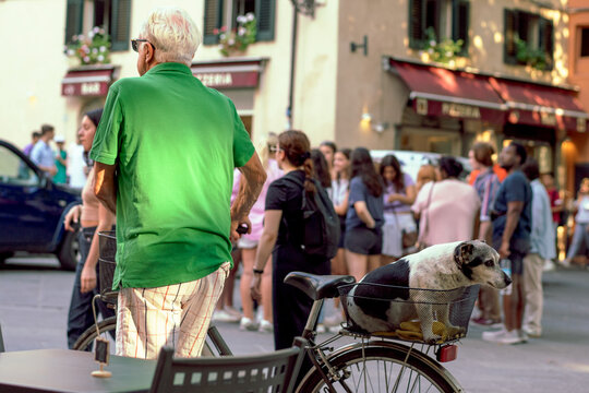 older man and dog on a bicycle