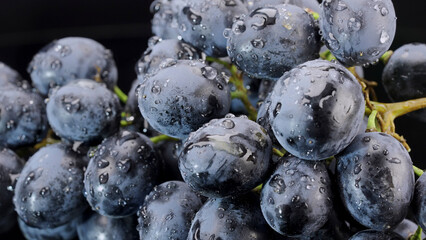 Bunch of ripe juicy grapes with drops of water, Clode up