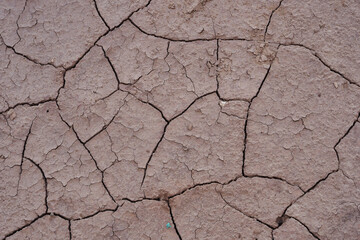 drought cracked ground