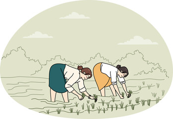Women working on rice fields