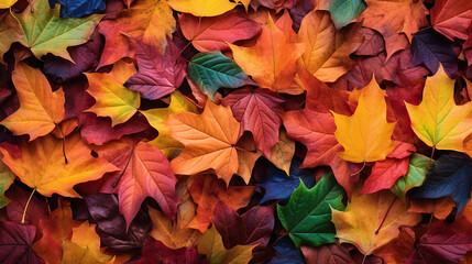 Naklejka na ściany i meble Vibrant Autumn Leaves, Nature's Color Palette. Generative Ai