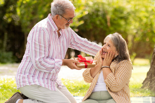 Happy old european husband gives gift box to shocked wife, enjoy picnic together in park, celebrate birthday