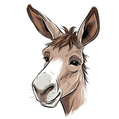 Donkey Jenny hand-drawn illustration. Donkey Jenny. Vector doodle style cartoon illustration