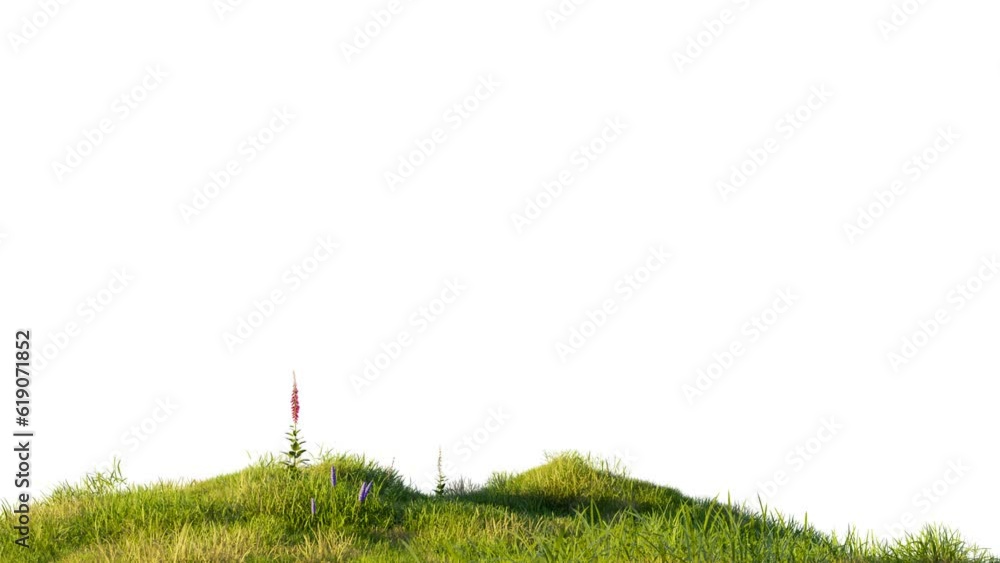 Poster grass field with animation footage on white background, 3d illustrations rendering