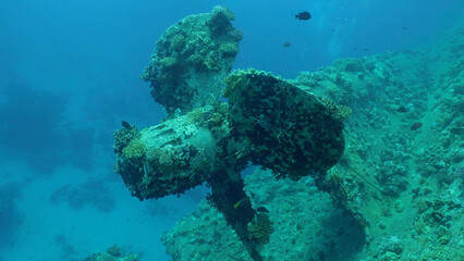 Fototapeta na wymiar Propeller of ferry Salem Express shipwreck, Red sea, Safaga, Egypt