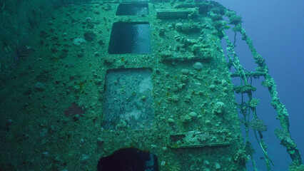 Sea animals growing on window glass of cabin of ferry Salem Express shipwreck, Red sea, Safaga, Egypt © Andriy Nekrasov