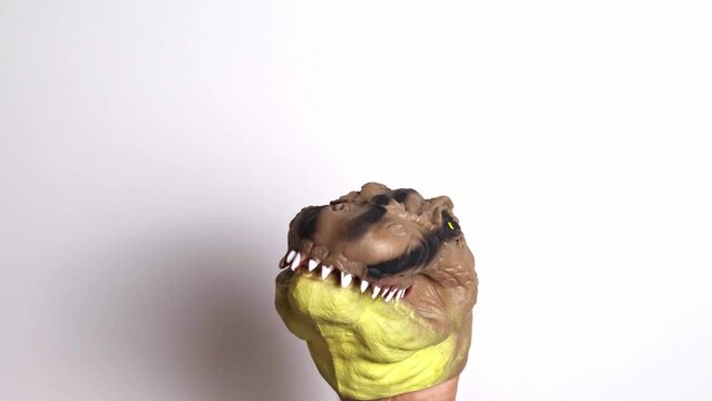 Tyrannosaurus rex puppet that goes flat, looks at the camera and quickly approaches with its mouth open to eat us