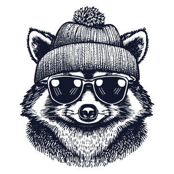 cool raccoon wearing a cap and sunglasses sketch