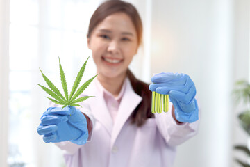Beautiful Asian scientist woman hold marijuana leaf and extraction tube, do experiment with hemp leaf in laboratory, pharmacist extract cannabis oil in lab, medical researcher work for herb medicine.