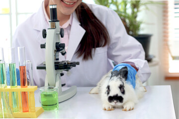 Beautiful Asian medical scientist work with microscope and rabbit in vet laboratory, female...